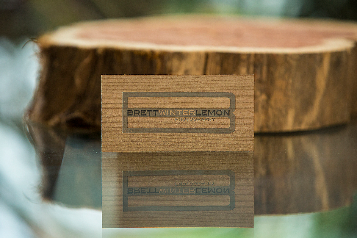 Brett Winter Lemon Photography Business Card