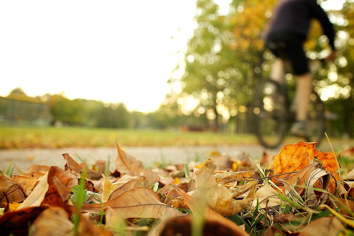 Leaves on the ground with someone riding by on a bike