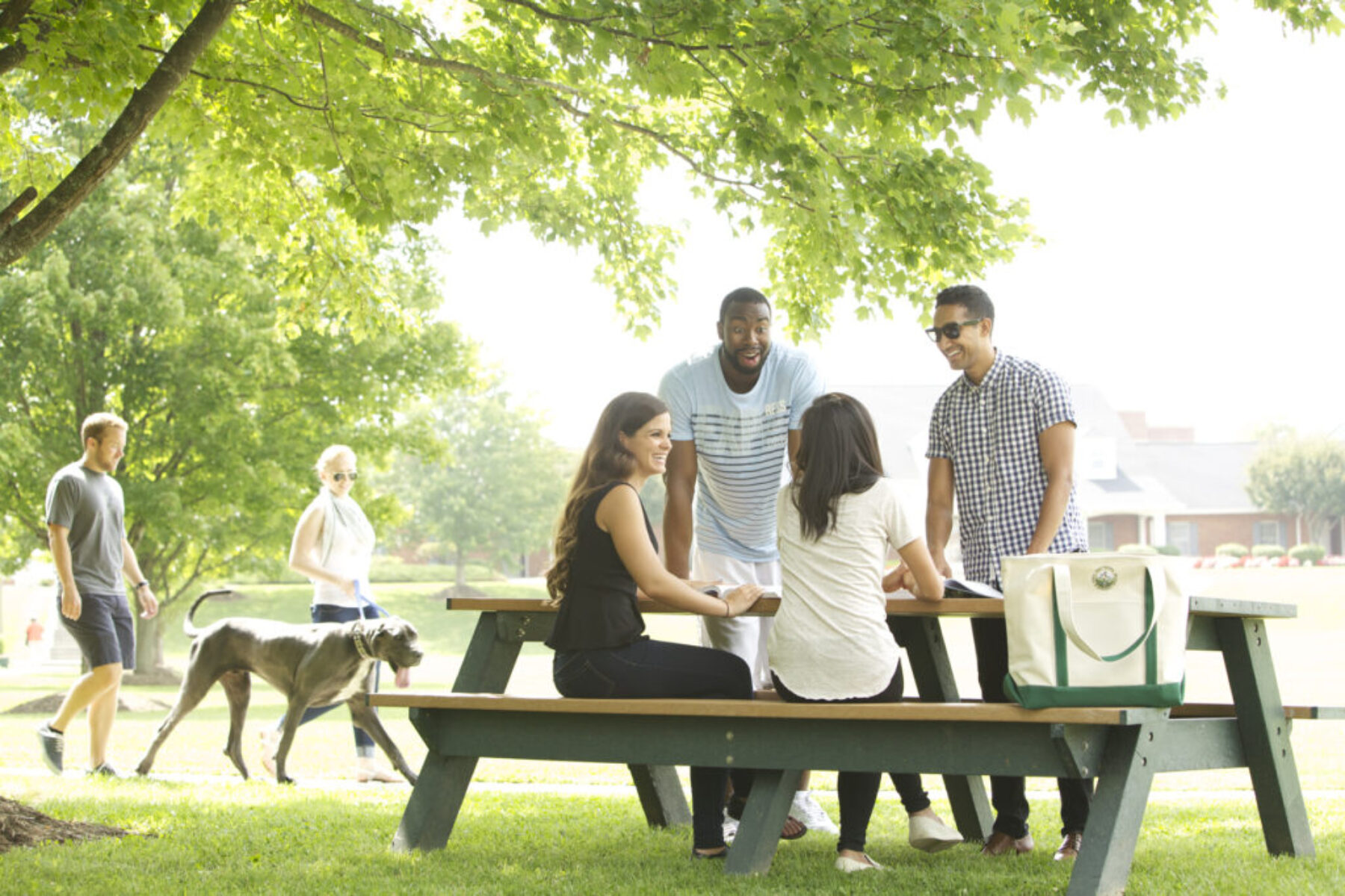 A group of people outside talking to one another at a table