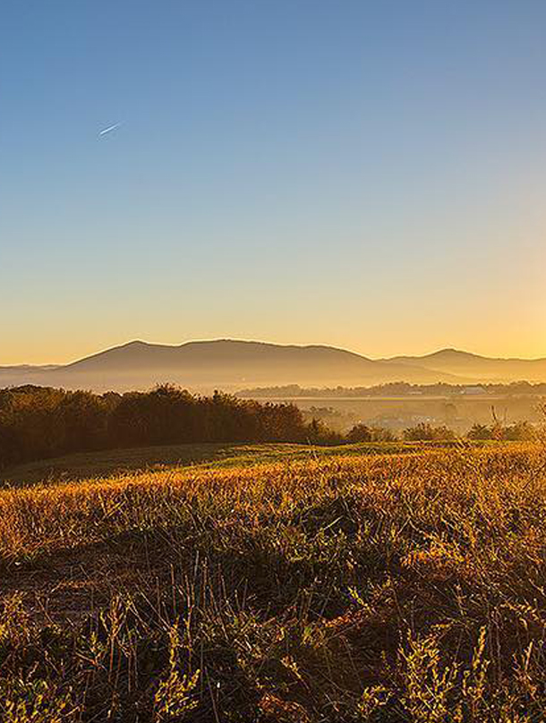 Landscape photo of the Blue Ridge mountains