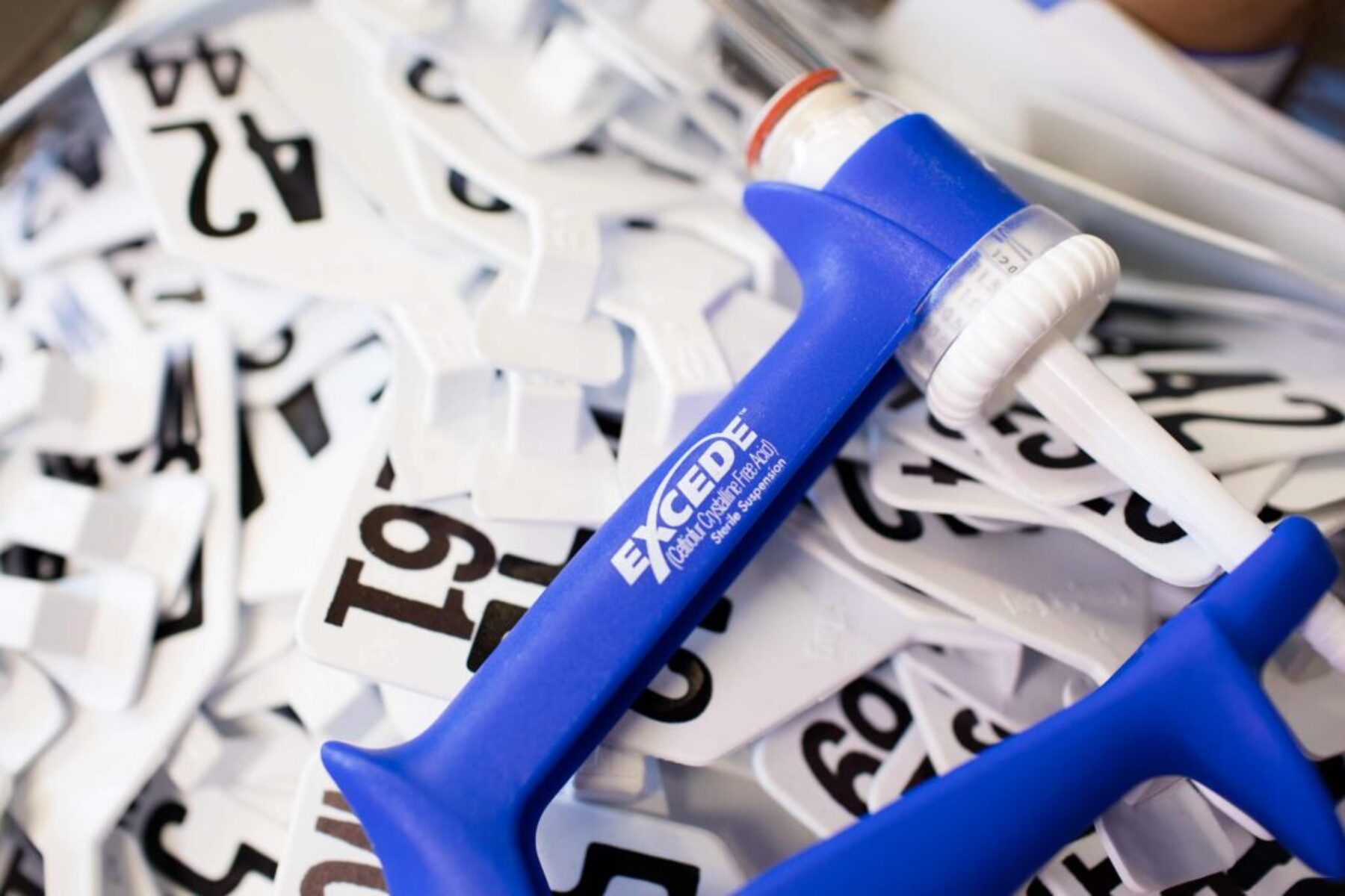 EXCEDE livestock dosing applicator on top of numbered cattle ear tags.