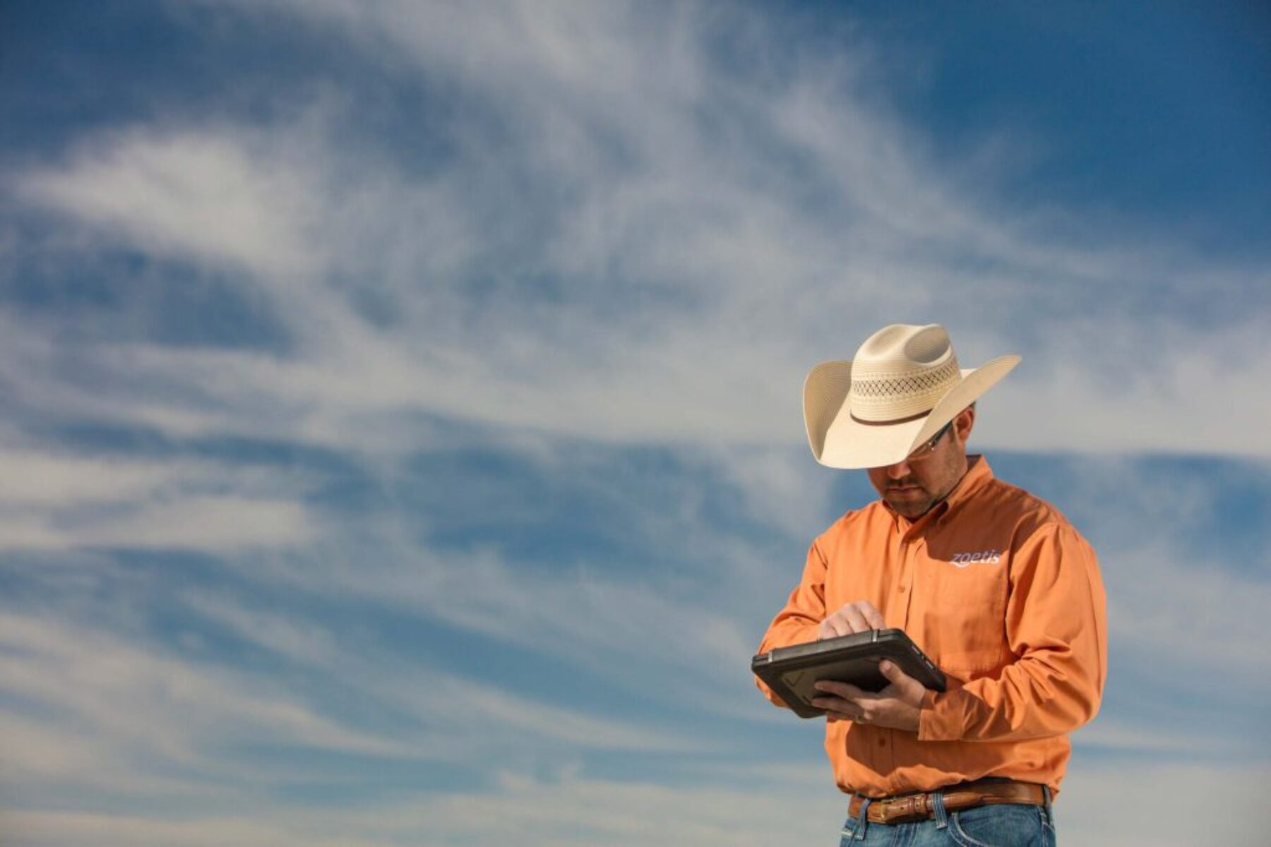 Rancher Using Tablet in Field – Agricultural Technology Photography Rancher using a digital tablet in the field under a blue sky.