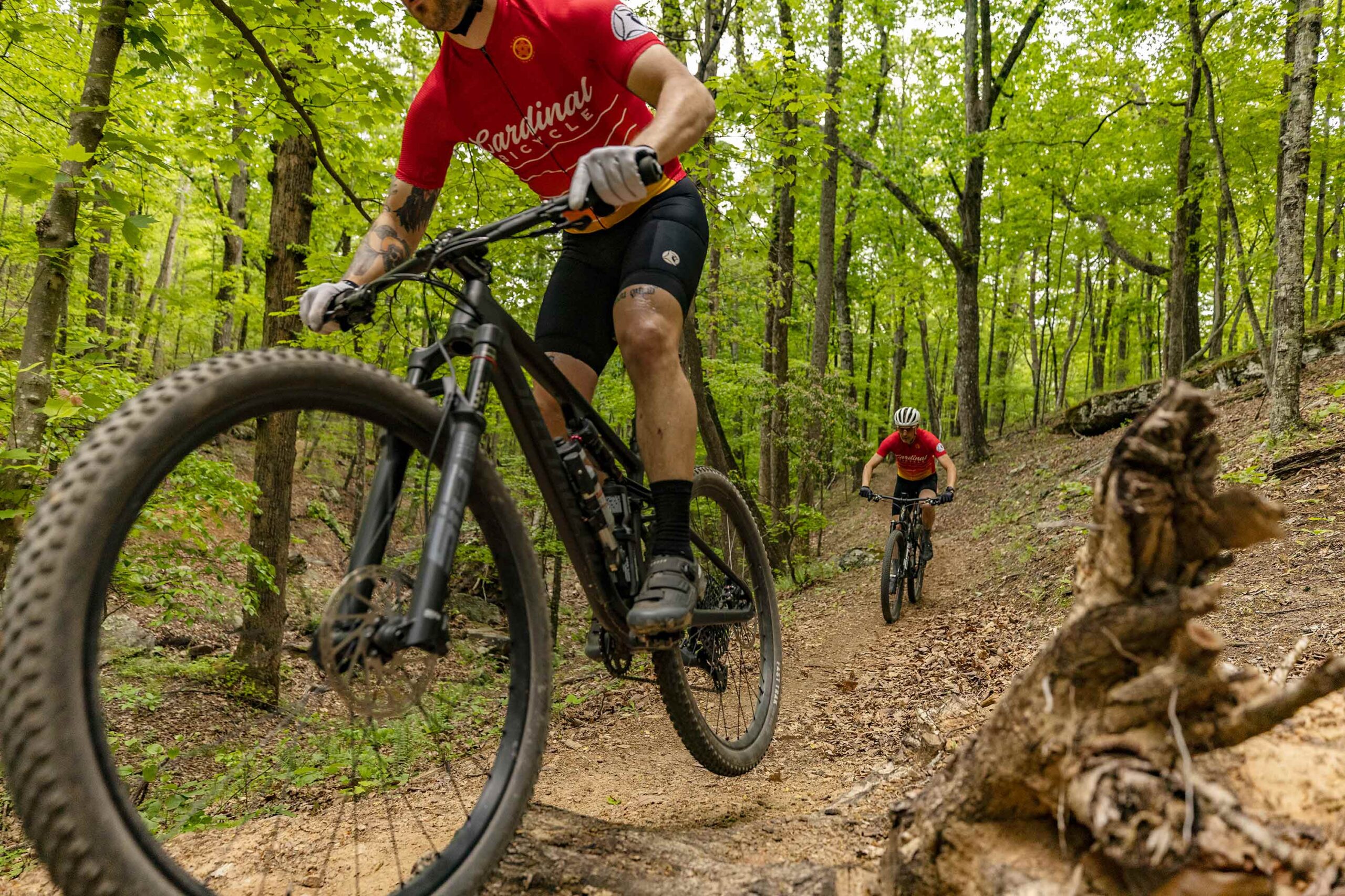 Mountain Biking Trail Action Photography – Forest Ride Two mountain bikers riding fast on a forest trail, one catching air over a jump.