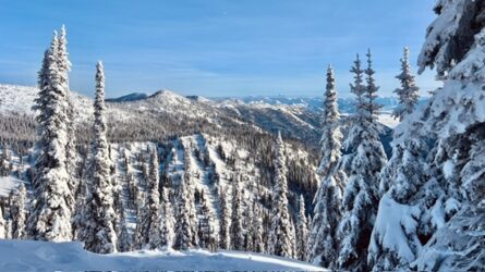 whitefish-mountain-resort-family-ski-photography-montana.jpg Wide panorama of snow-covered pine trees and ski slopes at Whitefish Mountain Resort, Montana, overlooking the Flathead Valley under a clear blue sky.