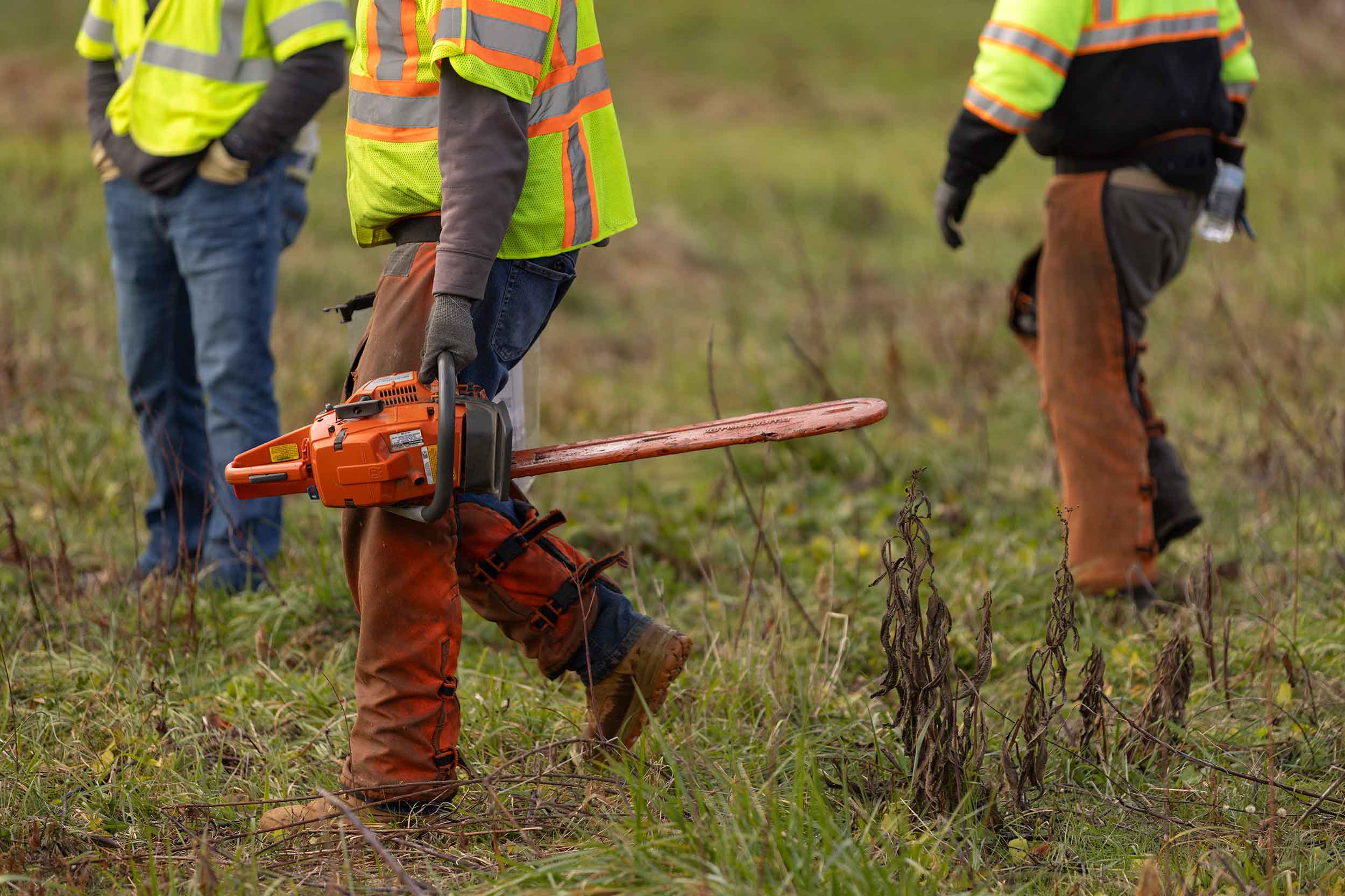 Utility vegetation management worker carrying an orange chainsaw through a grassy field alongside crew members wearing high-visibility safety gear.